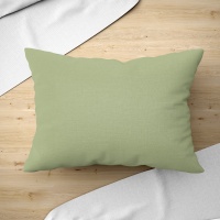 Наволочка 50х70 ДомВелл (Поплин) Фисташка