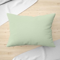 Наволочка 70х70 ДомВелл (Поплин) Фисташка