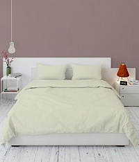 Пододеяльник Евро (200*220 см) ДомВелл (Поплин) Шампань